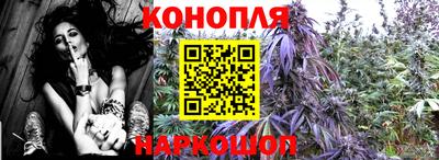 гидропоника Бугуруслан